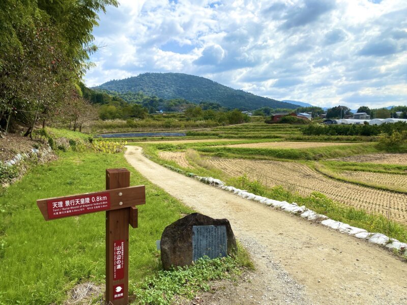 ⛩️ 히바라 신사 이미지 4